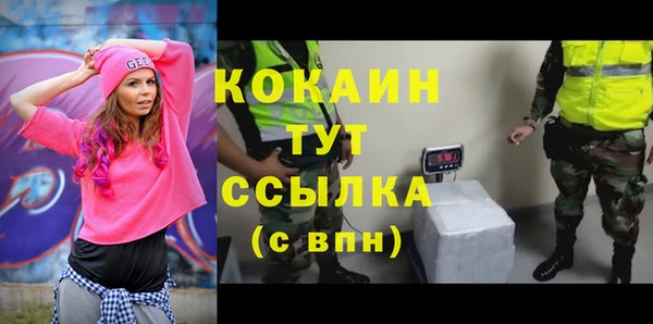 меф Арсеньев