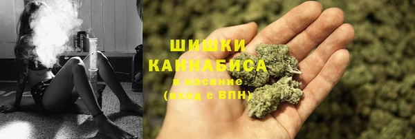 меф Арсеньев