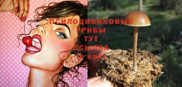 спиды Балахна